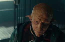 Волшебный участок