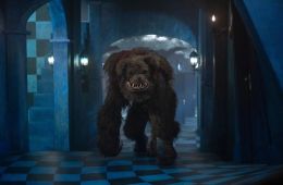 Воображаемый друг