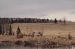 Моя жизнь с мальчиками Уолтер