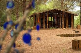 Выжить в Стамбуле