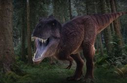 Jurassic Triangle