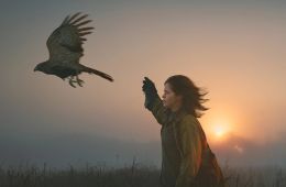 «Я» значит Ястреб