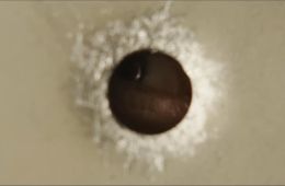 Подноготная