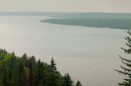 Культурная комедия