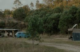 Зомби-кенгуру