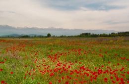 Апрель