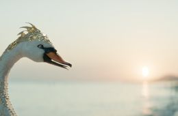 Сказка о царе Салтане