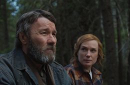 Сны поездов