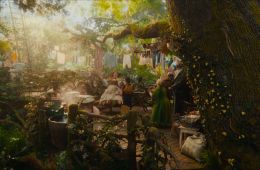 Вверх по волшебному дереву