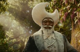 Вверх по волшебному дереву