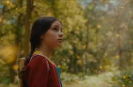 Вверх по волшебному дереву