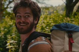 Вверх по волшебному дереву