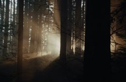 Крипер