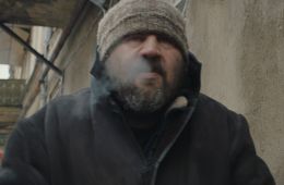 Снег в моём дворе