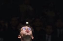 Марти Великолепный