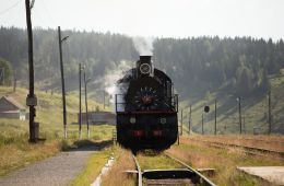 Батя 2. Дед