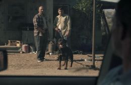 Морская полиция: Начало