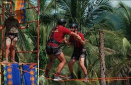 Звезды в джунглях