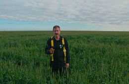 Ублюдские хроники