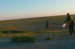 Ублюдские хроники