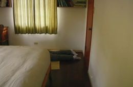 Ублюдские хроники