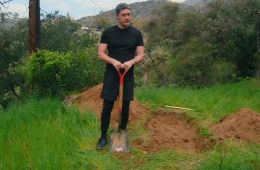 Ублюдские хроники