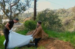 Ублюдские хроники