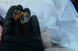 Ублюдские хроники