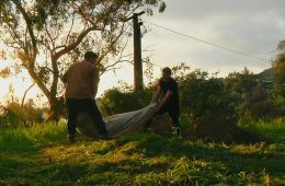 Ублюдские хроники