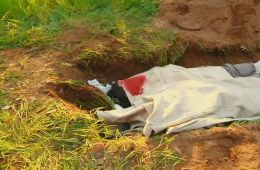 Ублюдские хроники