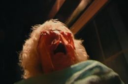 Ублюдские хроники