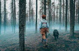 Жюль в стране индейцев