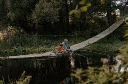На деревню дедушке