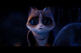 Кунг-фу кот