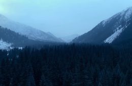 Омерзительная четвёрка