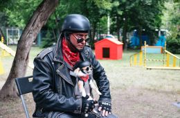 Приключения желтого чемоданчика