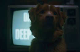 Глазами пса