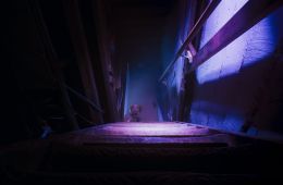 Глазами пса