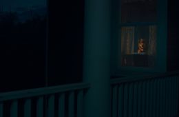 Глазами пса