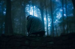 Глазами пса