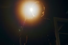 Глазами пса