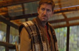 Как приручить лису