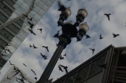 Брат навсегда