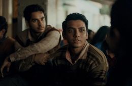 Возвращение домой