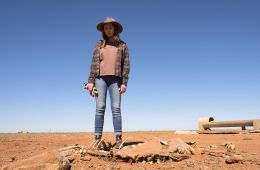 Королевская служба летающих врачей