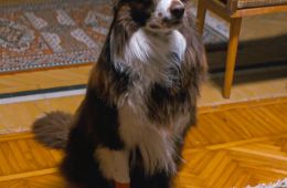 Два мира, одно желание