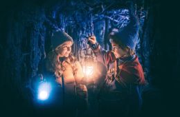 Невероятные приключения в Стране чудес