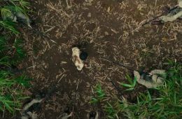 Побег из плена