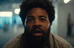 Чайный гриб