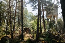 Очарованные